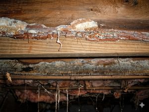 Green Factor Insulation, Roofing, HVAC Kansas